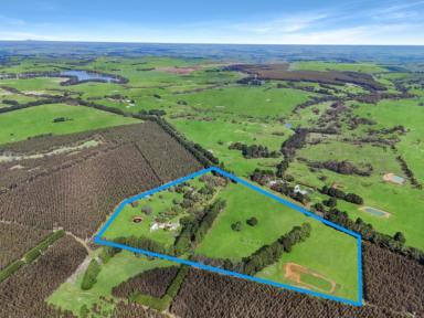 Farm For Sale - VIC - Konongwootong - 3315 - "Brim Brim" 40 Ac - 16.18 Ha*  (Image 2)