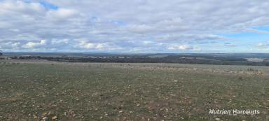 Farm For Sale - WA - Boxwood Hill - 6338 - Ideal Broadacre Add On Property Located on the South Coast!  (Image 2)