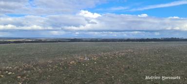 Farm For Sale - WA - Boxwood Hill - 6338 - Ideal Broadacre Add On Property Located on the South Coast!  (Image 2)