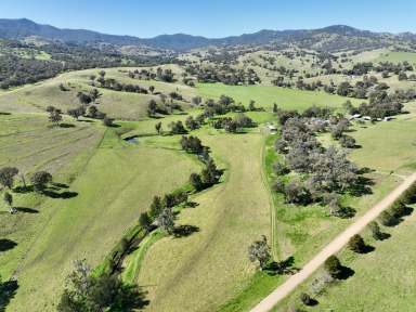 Farm For Sale - NSW - Wallabadah - 2343 - Country Living at its Finest  (Image 2)