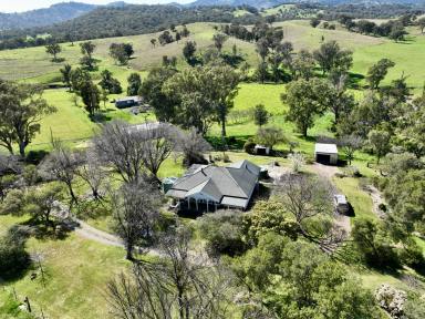 Farm For Sale - NSW - Wallabadah - 2343 - Country Living at its Finest  (Image 2)