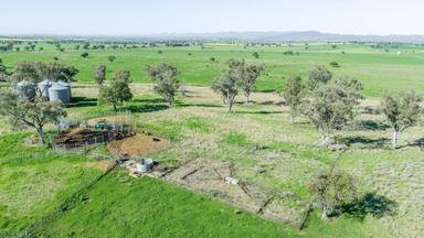 449 Perrings Road, Somerton NSW 2340
