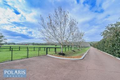 Farm For Sale - WA - Bullsbrook - 6084 - Premier Equestrian Rural Property  (Image 2)