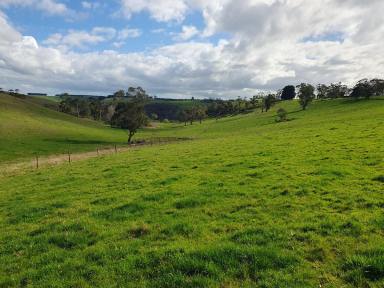 Farm For Sale - VIC - Jancourt - 3266 - 36.62 Ha - 90.5 Ac  (Image 2)