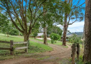 Farm For Sale - NSW - Rosebank - 2480 - Retreat Style Living - 98 Acre Sustainable Oasis With Grazing and Greenhouse  (Image 2)