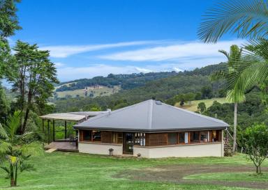 Farm For Sale - NSW - Rosebank - 2480 - Retreat Style Living - 98 Acre Sustainable Oasis With Grazing and Greenhouse  (Image 2)