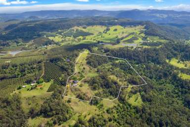 Farm For Sale - NSW - Stony Chute - 2480 - 57-Acre Estate with Spectacular Views and Dual Residences  (Image 2)