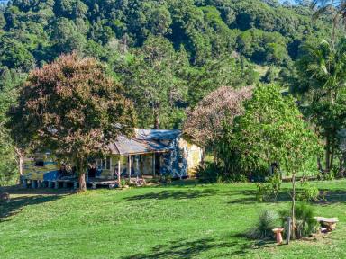 Farm For Sale - NSW - Terania Creek - 2480 - Private & Comfortable Rural Living  (Image 2)