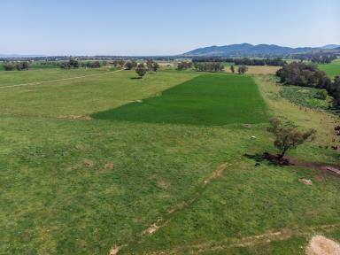 Farm For Sale - NSW - Calala - 2340 - Highly Sought-After Grazing & Lifestyle Opportunity  (Image 2)