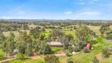 Farm Auction - NSW - Tamworth - 2340 - LIFESTYLE LIVING OH SO CLOSE TO TOWN  (Image 2)