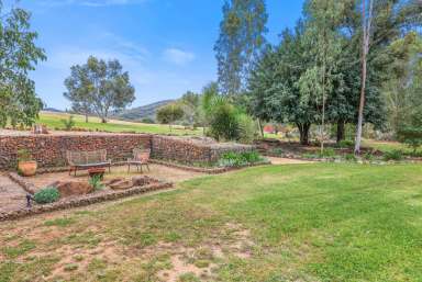 Farm For Sale - NSW - Tamworth - 2340 - LIFESTYLE LIVING OH SO CLOSE TO TOWN  (Image 2)