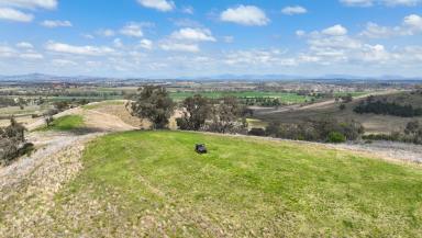 Farm Auction - NSW - Tamworth - 2340 - LIFESTYLE LIVING OH SO CLOSE TO TOWN  (Image 2)