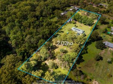 Farm For Sale - QLD - Caboolture - 4510 - Spacious home on 5 acres in a peaceful location!  (Image 2)