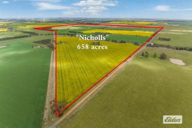 Farm For Sale - VIC - Buangor - 3375 - 'Nicholls & 'Fays' Quality Western District Cropping & Grazing  (Image 2)