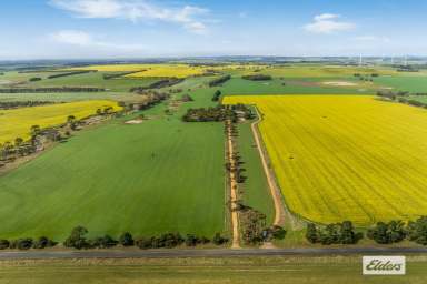 Farm For Sale - VIC - Buangor - 3375 - 'Nicholls & 'Fays' Quality Western District Cropping & Grazing  (Image 2)