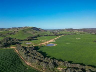 Farm For Sale - NSW - Big Springs - 2650 - Matta Mia 1787 ha,  4417 ac EOI  (Image 2)