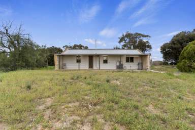 Farm For Sale - SA - Moonta Mines - 5558 - Quaint cottage set on 1.5 hectares in peaceful Moonta Mines  (Image 2)