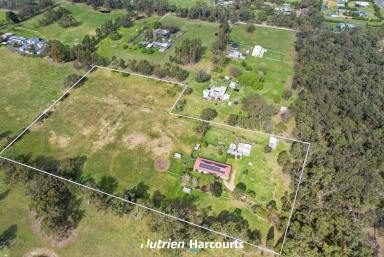 Farm For Sale - VIC - Woodside - 3874 - Comfort and Sustainability in Woodside  (Image 2)