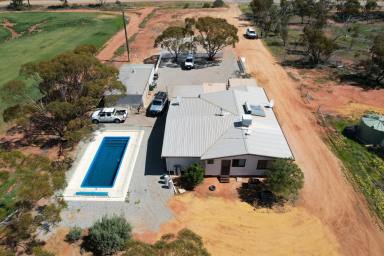 Farm For Sale - WA - North Bodallin - 6424 - Lakeview Aggregation, North Bodallin - excellent opportunity  (Image 2)