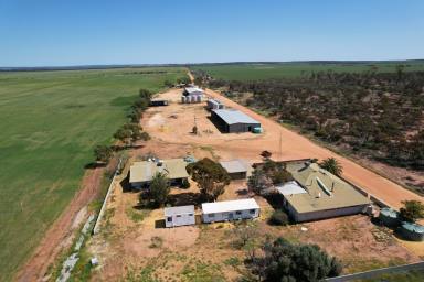 Farm For Sale - WA - North Bodallin - 6424 - Lakeview Aggregation, North Bodallin - excellent opportunity  (Image 2)