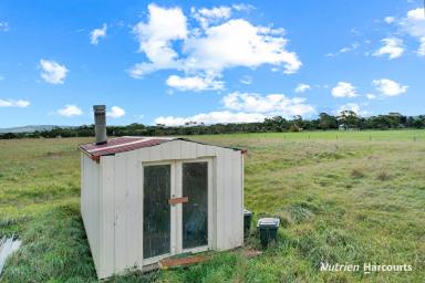 Farm For Sale - VIC - Alberton - 3971 - Coastal Grazing Land - Ideal Weekend Getaway!  (Image 2)