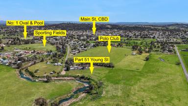 Farm For Sale - NSW - Quirindi - 2343 - LIFESTYLE ACRES WITH CREEK FRONTAGE  (Image 2)