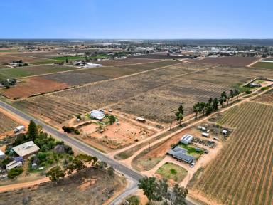 Farm For Sale - VIC - Merbein - 3505 - Redevelopment Opportunity.  (Image 2)