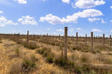 Farm For Sale - VIC - Merbein - 3505 - Redevelopment Opportunity.  (Image 2)