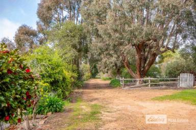 Farm For Sale - WA - Mount Barker - 6324 - Hidden Treasure!  (Image 2)