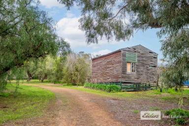 Farm For Sale - WA - Mount Barker - 6324 - Hidden Treasure!  (Image 2)