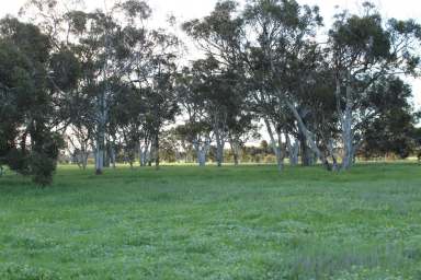 Farm For Sale - WA - Mogumber - 6506 - 3374 Mogumber Road West, Mogumber  (Image 2)