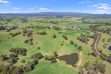 Farm For Sale - QLD - Gilldora - 4570 - MARY VALLEY'S FINEST  (Image 2)