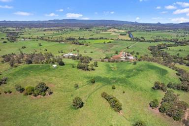 Farm For Sale - QLD - Gilldora - 4570 - MARY VALLEY'S FINEST  (Image 2)