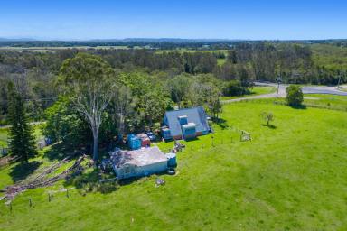 Farm For Sale - NSW - Fernbank Creek - 2444 - BUILD YOUR RURAL RETREAT ON THIS HUGE PARCEL OF LAND  (Image 2)