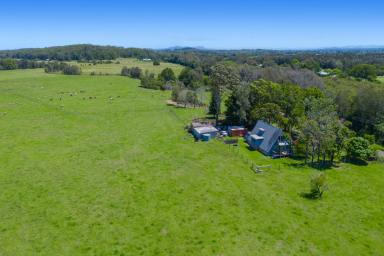 Farm For Sale - NSW - Fernbank Creek - 2444 - BUILD YOUR RURAL RETREAT ON THIS HUGE PARCEL OF LAND  (Image 2)