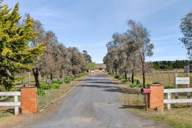 Farm Auction - VIC - Anakie - 3213 - "Green Fields"  (Image 2)