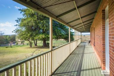 Farm Auction - NSW - Buckajo - 2550 - SPRINGVALE HOUSE - Farm Close To Bega  (Image 2)