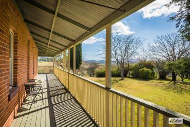 Farm Auction - NSW - Buckajo - 2550 - SPRINGVALE HOUSE - Farm Close To Bega  (Image 2)