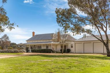 Farm For Sale - VIC - Avoca - 3467 - "Mackereth's Hedon Farm" c.1865 - Home to Pioneer Pyrenees Wine Maker  (Image 2)