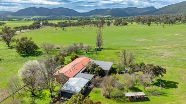 Farm For Sale - VIC - Thologolong - 3691 - "Thologolong Station"  (Image 2)