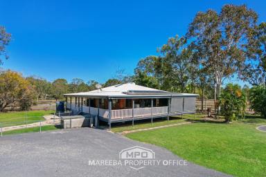 Farm For Sale - QLD - Mareeba - 4880 - 2 HA HAVEN, TIMBER HOME, SET UP FOR HORSES  (Image 2)