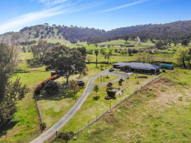 Farm For Sale - NSW - Adelong - 2729 - "Broken Creek"  (Image 2)