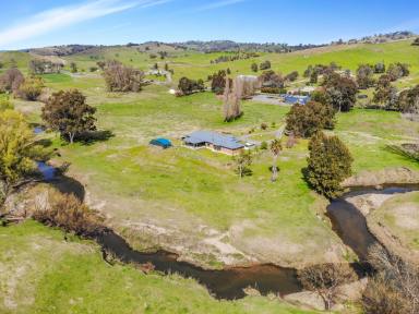 Farm For Sale - NSW - Adelong - 2729 - "Broken Creek"  (Image 2)