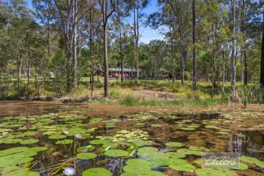 Farm For Sale - QLD - Pie Creek - 4570 - Acreage living with BONUS Infrastructure!  (Image 2)