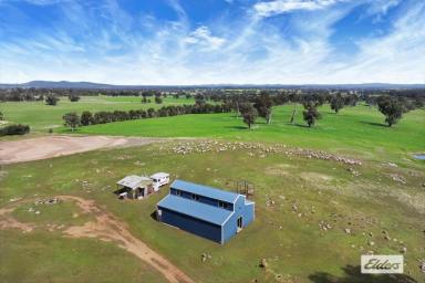 Farm For Sale - VIC - Shelbourne - 3515 - SCENIC RURAL / RECREATION ALLOTMENT WITH DISTANT VIEWS  (Image 2)