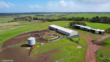 Farm For Sale - VIC - Grassdale - 3302 - A sizable secure rainfall grazing asset in a sought after location- 35km SW Hamilton  (Image 2)