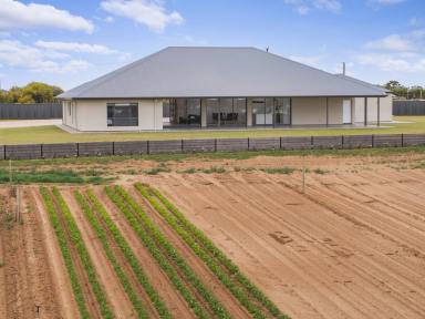 Farm For Sale - SA - Cobdogla - 5346 - TURN ON THE RAIN HERE! Horticulture with large family home and shedding.  (Image 2)