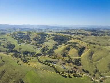 Farm For Sale - NSW - Clarence Town - 2321 - Majestic Views on Land Ready to Make Your Own.  (Image 2)