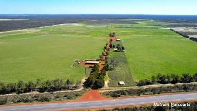 Farm For Sale - WA - Beermullah - 6503 - "Springfield" Exceptional Rural Opportunity for Corporate or Large Scale Enterprises!  (Image 2)