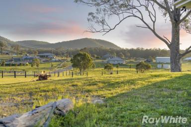 Farm Auction - NSW - Clarence Town - 2321 - Contemporary Elegance On Acres  (Image 2)